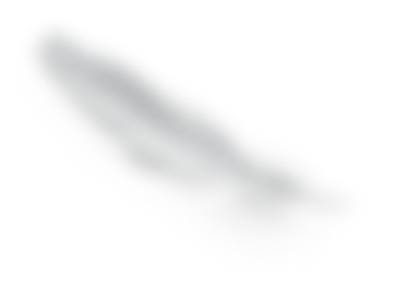 feather