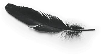 feather